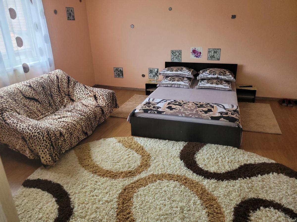 Vila La Izvorul Putinei Haţeg 외부 사진
